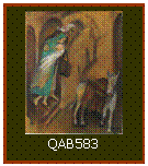 Caixa de texto:  
QAB583
