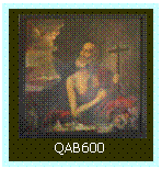 Caixa de texto:  
QAB600

